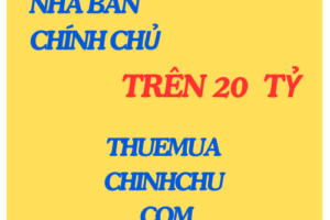 Nhà HXH sát MT Bùi Thị Xuân Q1, dòng tiền gần 700tr/năm